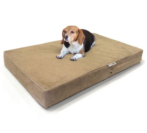 Top 10 Best Dog Memory Foam Bed Of 2023